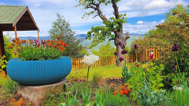 Un jardin agrémenté d’un grand bac bleu, d’une clôture en bois et de diverses fleurs et plantes.