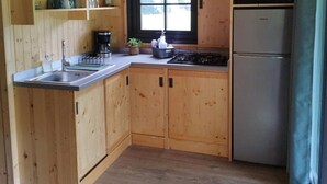 A compact kitchen with wooden cabinets, a stainless steel sink, a gas stove, and a built-in microwave.