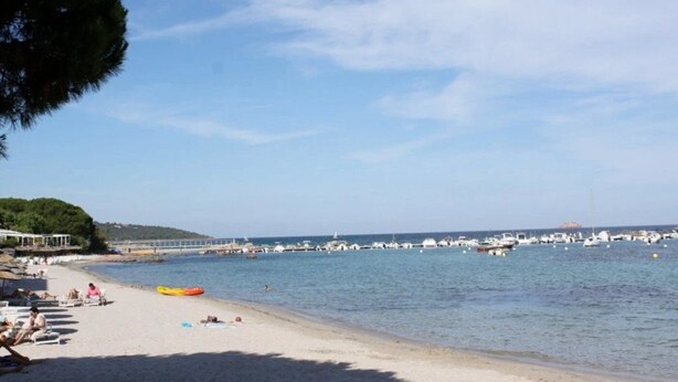 Una playa con un muelle, barcos y cielo despejado.