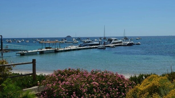 Un puerto deportivo con barcos amarrados, un muelle y vista al mar.