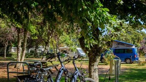 Un vélo est garé sous un arbre dans un parc, avec une table de pique-nique à proximité et un camping-car en arrière-plan.