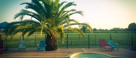 Piscine chauffée