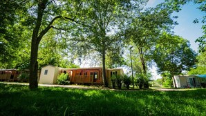 Une rangée de maisons mobiles, avec un espace gazonné devant, entourée d’arbres.
