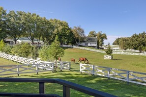 A fenced outdoor area with horses grazing, surrounded by trees and a building with a green roof. - Rider's Retreat- Silas Jayne's renovated farmhouse overlooking Our Day Farm (Elgin)