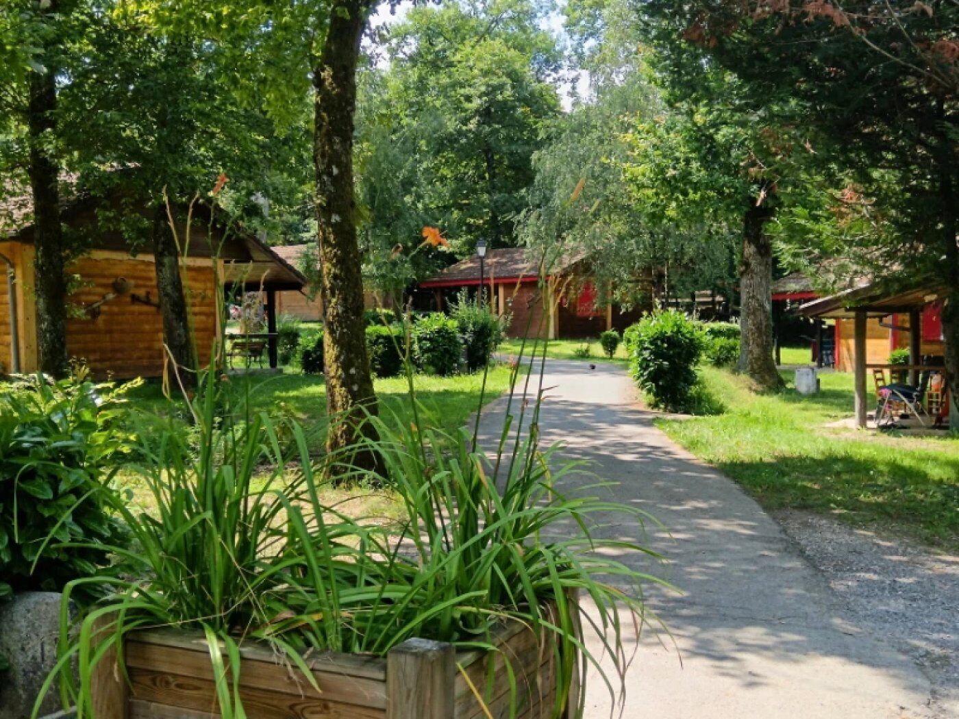 Un sendero que lleva a cabañas de madera rodeadas de abundante vegetación y árboles altos.