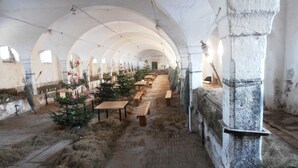 Interno di una chiesa con soffitti a volta, banchi e abeti decorati.