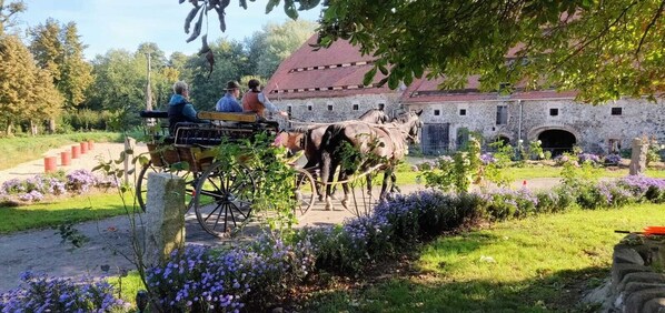Eine Kutsche mit Passagieren in einem Gartenbereich mit Steinbauten im Hintergrund.