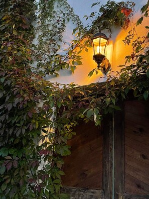 A wooden door partially covered by ivy.