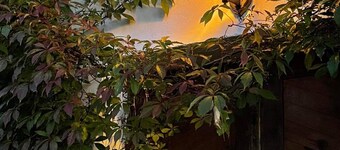 Grandma's Family Farm Stay Apartment in Nature & Peace. Perfect Family Retreat