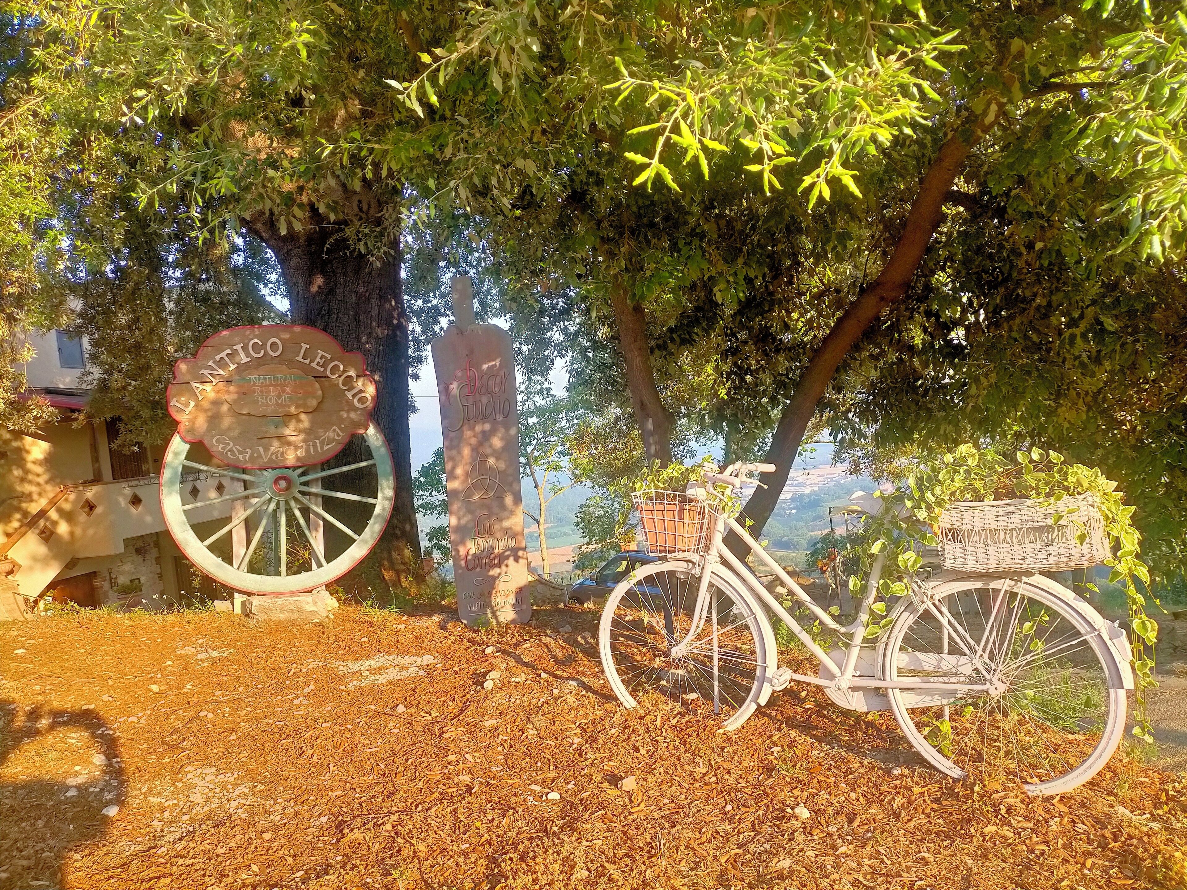Miscellaneous