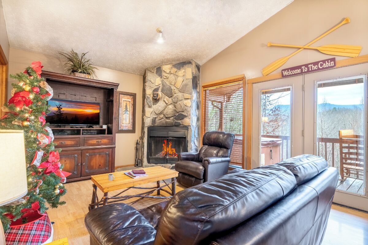 Télévision, cheminée, lecteur de DVD