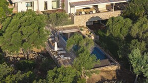 A modern house with a swimming pool, surrounded by trees. - Contemporary sea-view villa with large infinity pool and walking distance to the beach (Zonza)