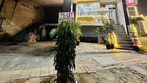 Un edificio con un cartel de 'TO-LET', una escalera y plantas en macetas.