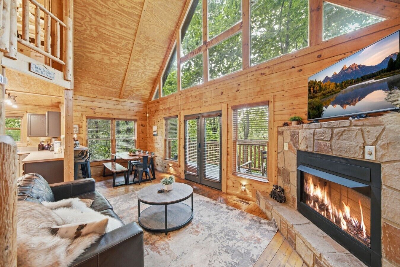 TV, fireplace, video games
