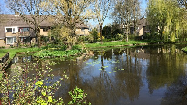 Een rustige rivier met weerspiegelingen van bomen en huizen, omringd door groen en een houten brug.