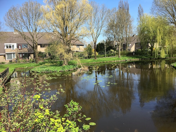 Property grounds - House het rijtje 41 in DE KWAKEL (N -H)16 KM from Amsterdam a Cote keukenhof, (de kwakel)