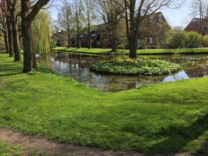 Property grounds - House for rent in the Netherlands in DE KWAKEL, 18 km from AmsterdamKeukenhof (de kwakel)