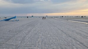 Plage, chaises longues, serviettes de plage