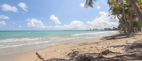 A beach with clear turquoise water, sandy shore, and palm trees.