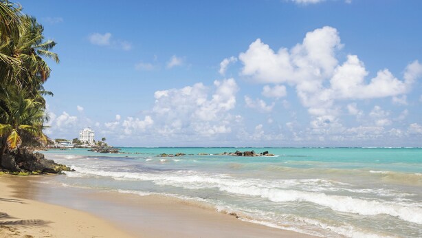 Une plage aux eaux turquoise et limpides, bordée d’un rivage sablonneux et agrémentée de quelques palmiers.