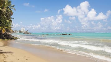 Appartement Standard | Plage