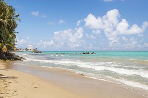 Standard Apartment | Beach - Golden Beach by Otium (Carolina)