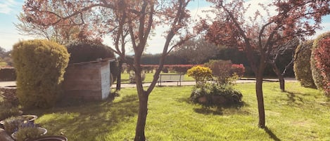 Un jardin avec différentes sortes de plantes et un petit abri de jardin.