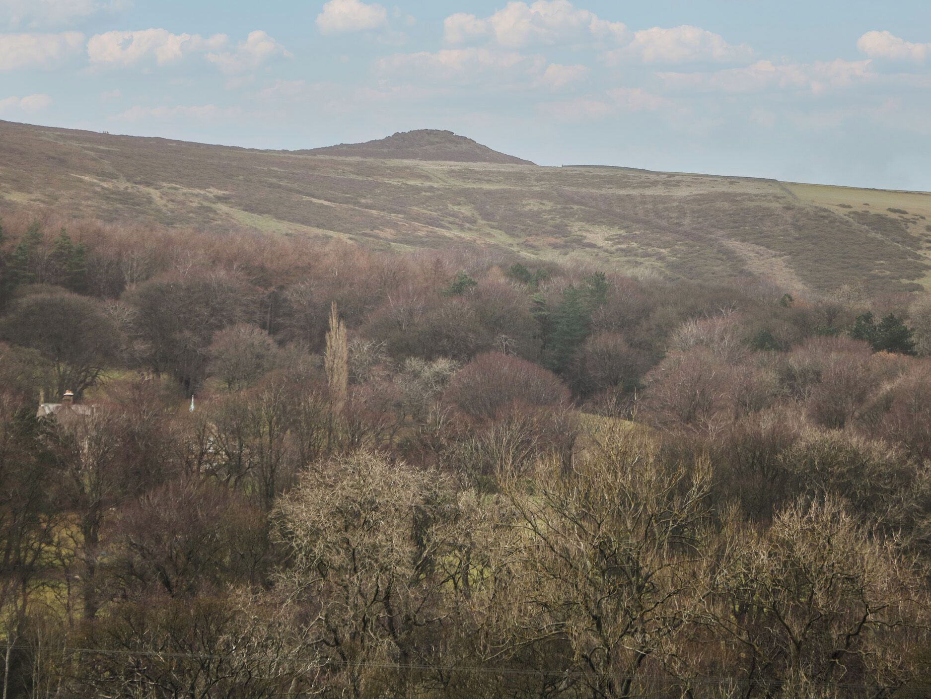 A hilly landscape with sparse vegetation and a distant hill.
