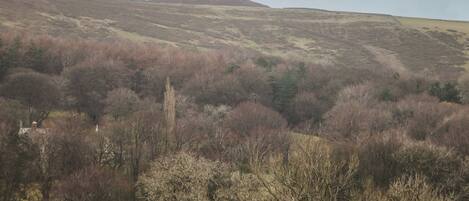 A hilly landscape with sparse vegetation and a distant hill.