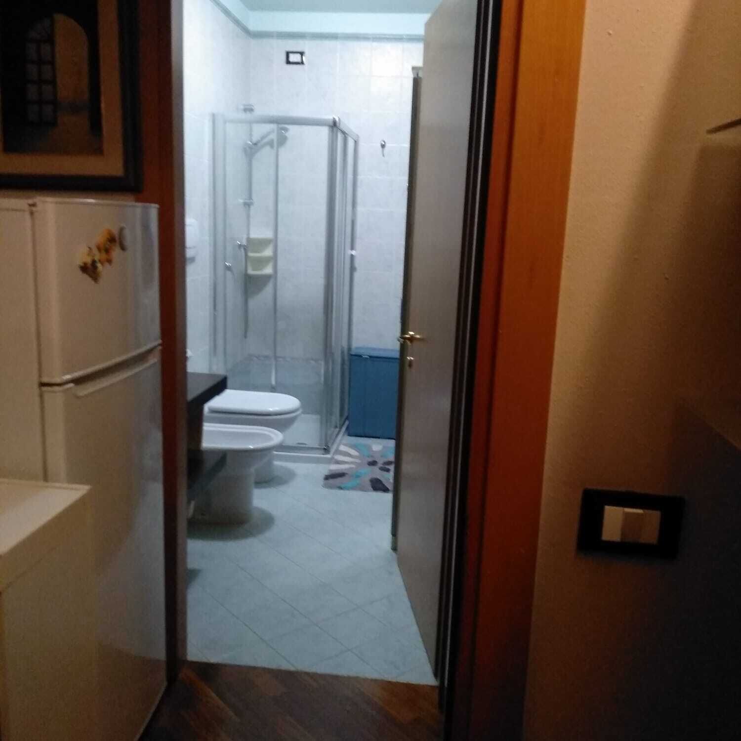 A narrow hallway leading to a bathroom with a toilet, shower, and a refrigerator.
