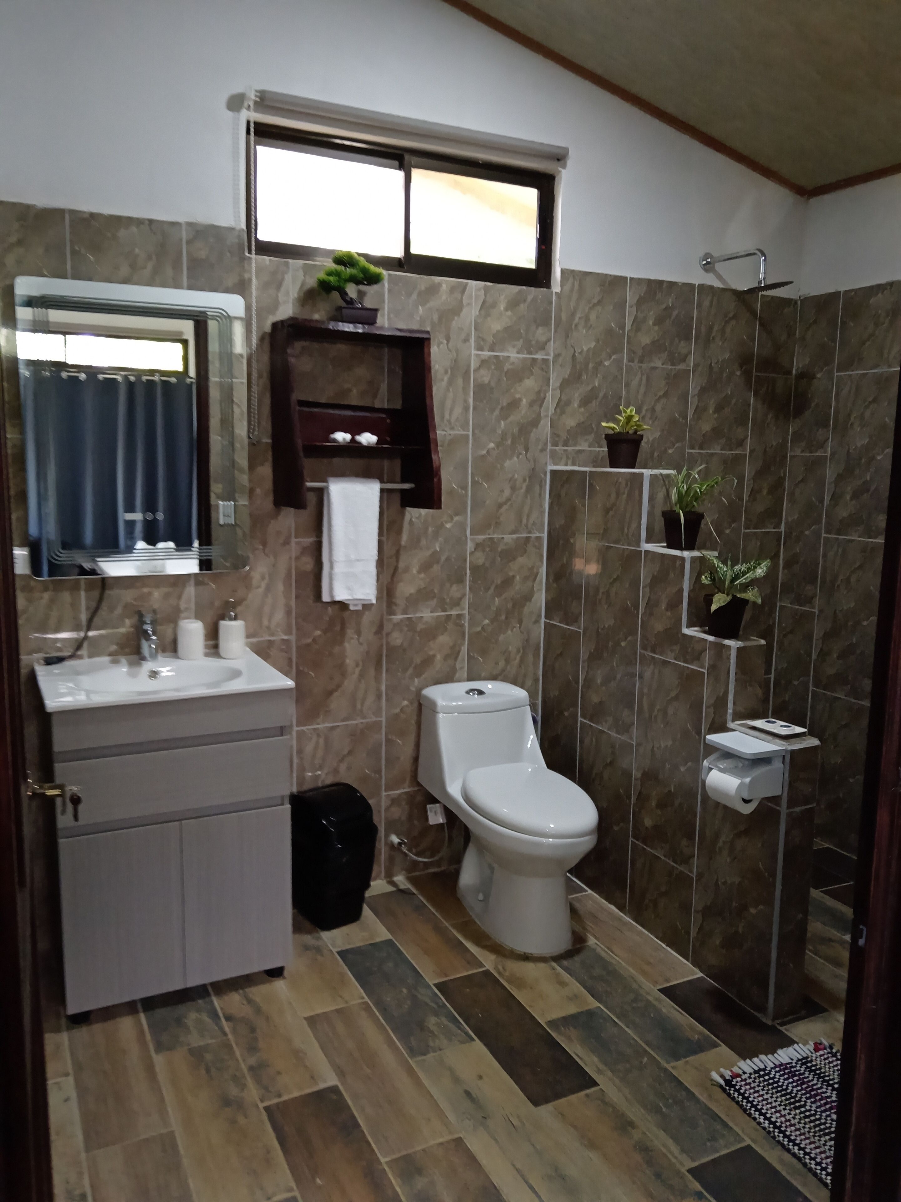 Shower, towels, soap, toilet paper