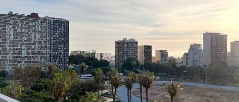 A cityscape with high-rise buildings, palm trees, and a large open area.