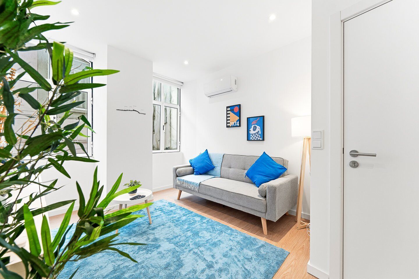 Een moderne woonkamer met een grijze bank, blauwe kussens, een blauw vloerkleed, een potplant en kunst aan de muur.