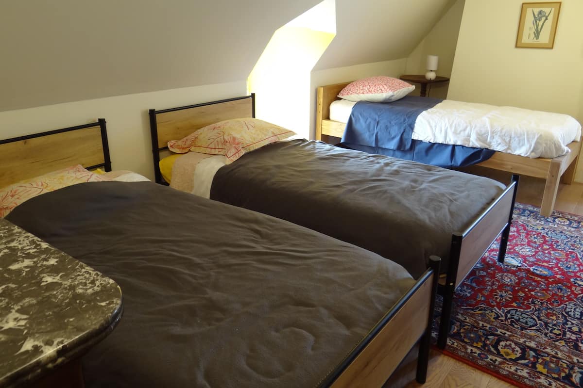 A room with two single beds, a wooden headboard, a nightstand, a lamp, and a patterned rug.