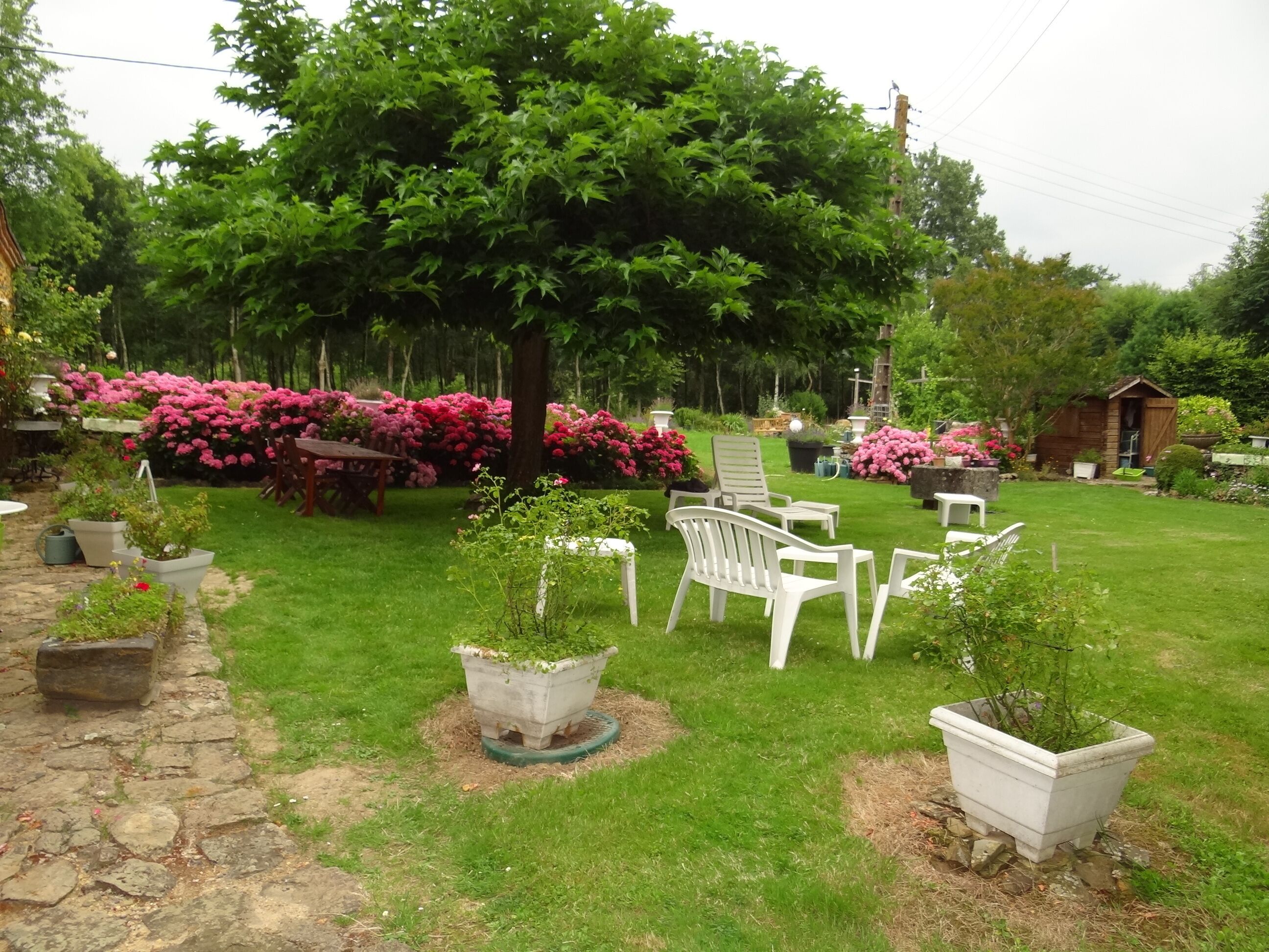 Classic-Doppelzimmer, Gartenblick | Terrasse/Patio