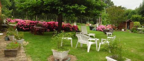 Classic Double Room, Garden View | Terrace/patio