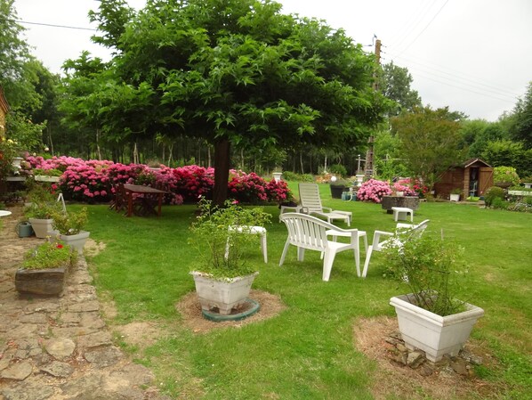 A garden with a lawn, potted plants, and outdoor furniture. - La Provosterie (Ahuillé)