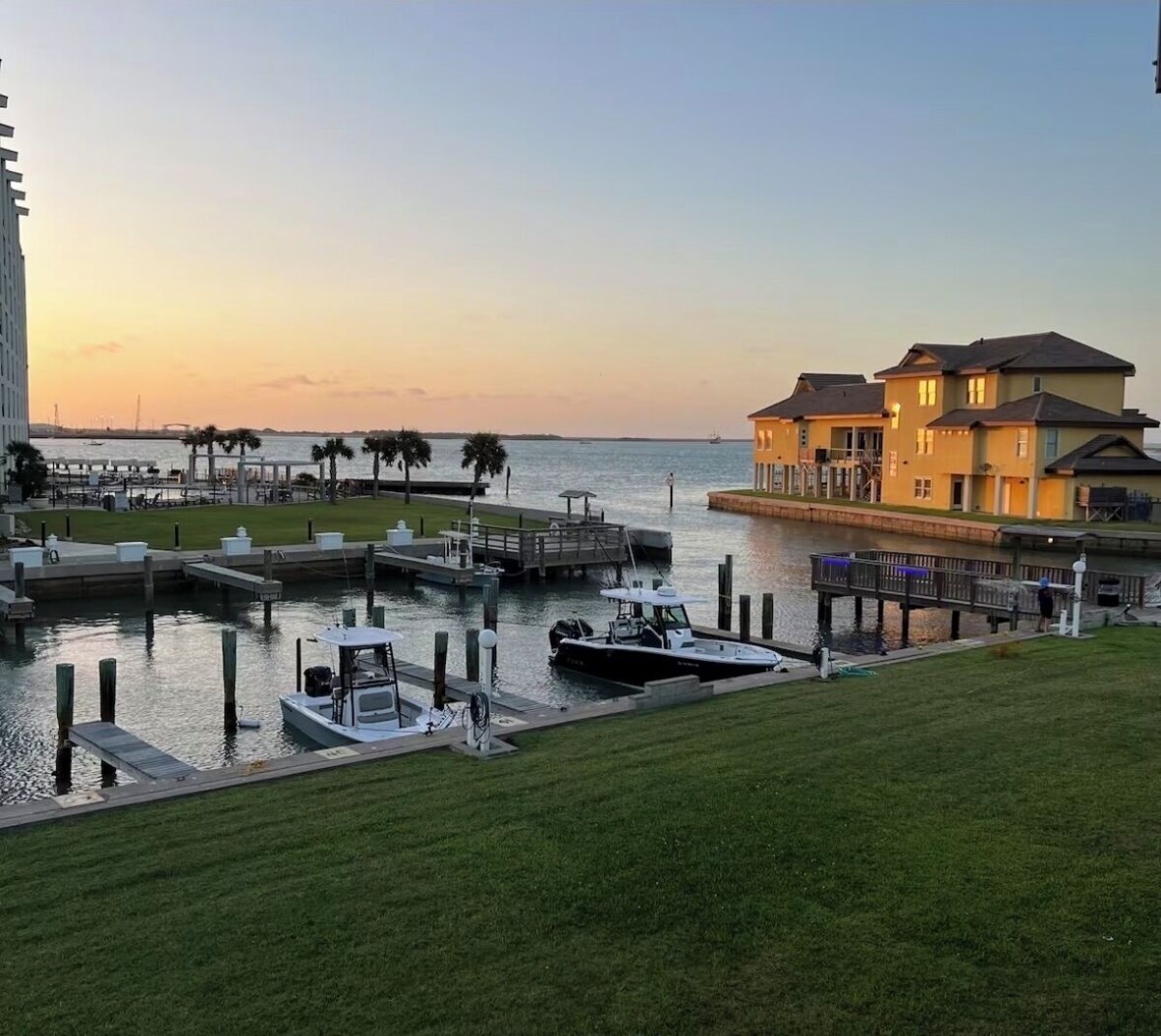 Imagen de perfil del propietario o de la propietaria