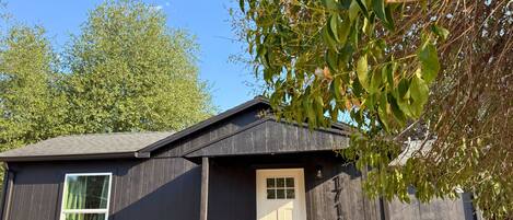 Detalle del exterior