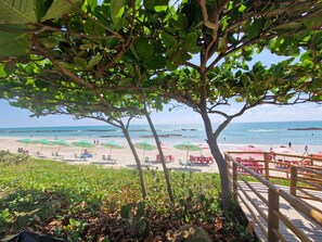 Beach - Luxury Escape Carneiros/Tamandare Flat · Ocean View · Feet in the Sand (Tamandaré)