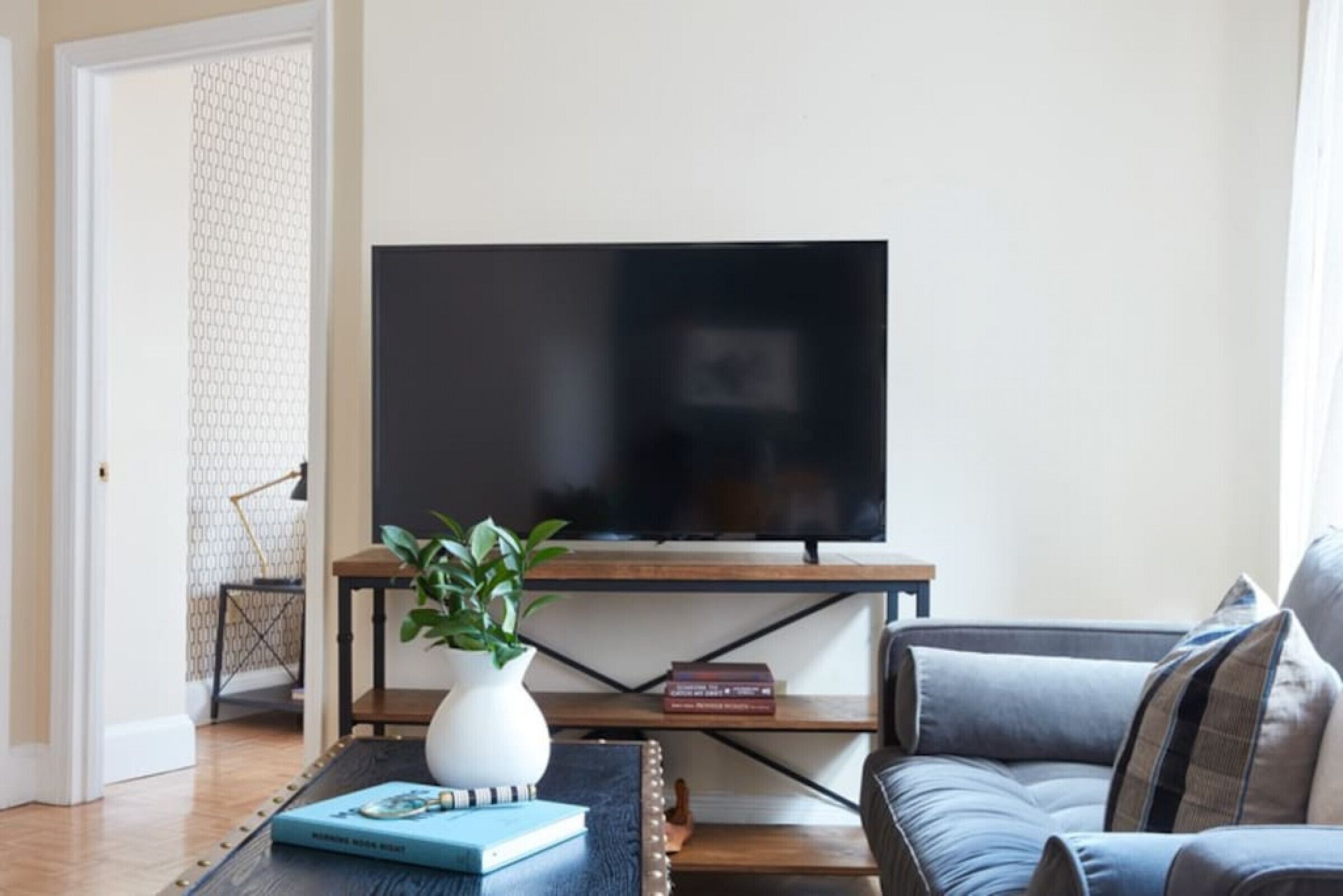 TV