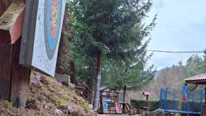 Ein Spielplatz mit Rutsche und Klettergerüsten, umgeben von Bäumen und einem Kiesweg.