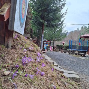 Àrea exterior de l'allotjament