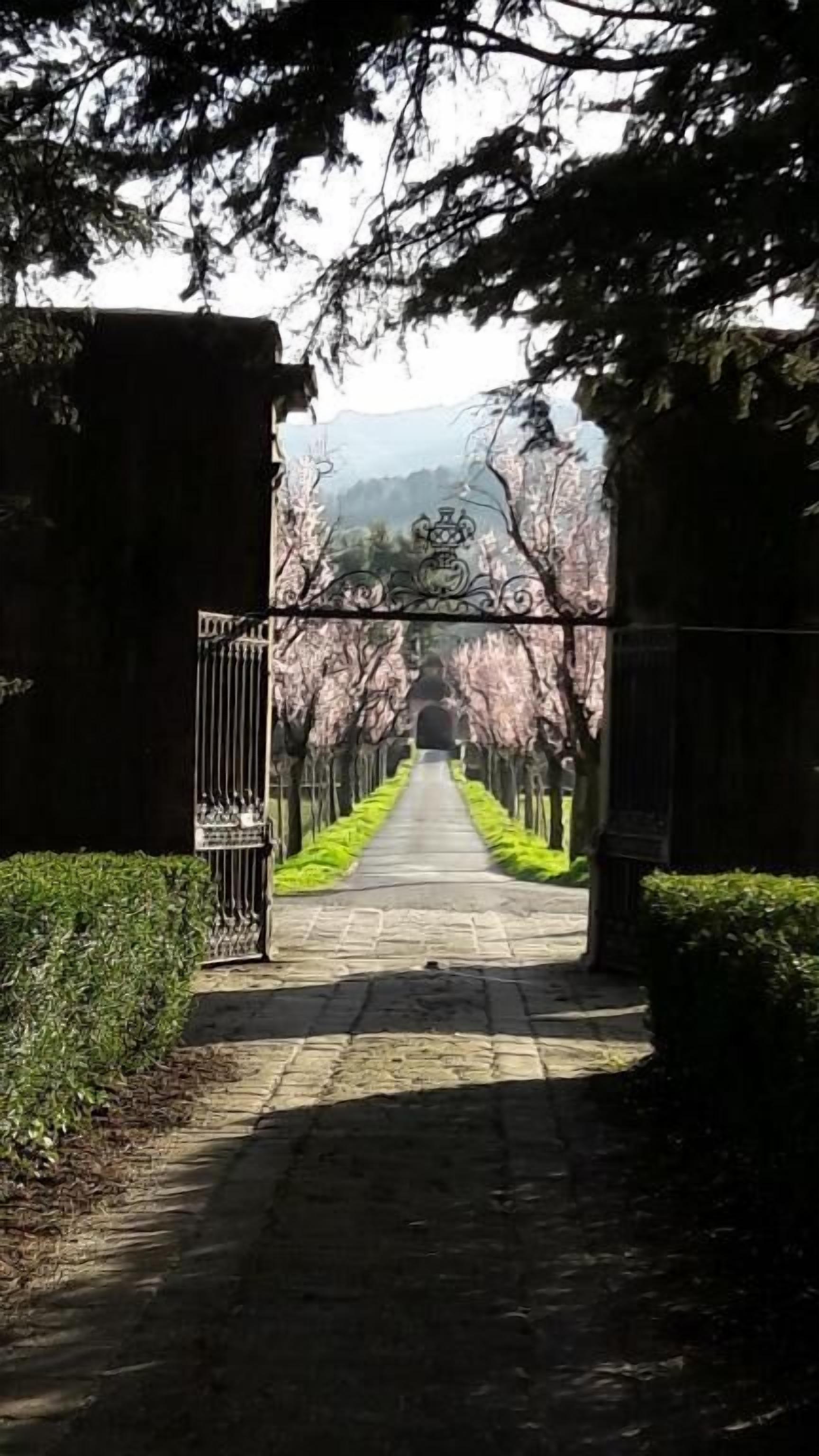 A pathway leading through a gate into a garden with trees and a distant view of a mountain.