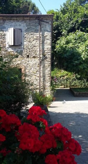 Jardines del alojamiento