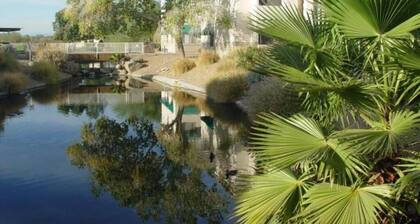 SPRING TRAINING LOCATION, FEW MILES TO SURPRISE AND PEORIA STADIUMS, HEATED POOL