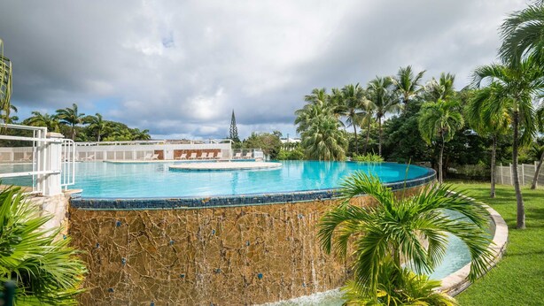 A swimming pool with a stone wall and palm trees. - Le Ti Mahogany - Studio avec Balcon (Saint-Francois)