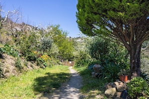 A garden path with a wooden fence, trees, and potted plants. - Holiday Home 'Quinta do Rio Douro - Rural Tourism' with Mountain View, Pool and AC (Douro)