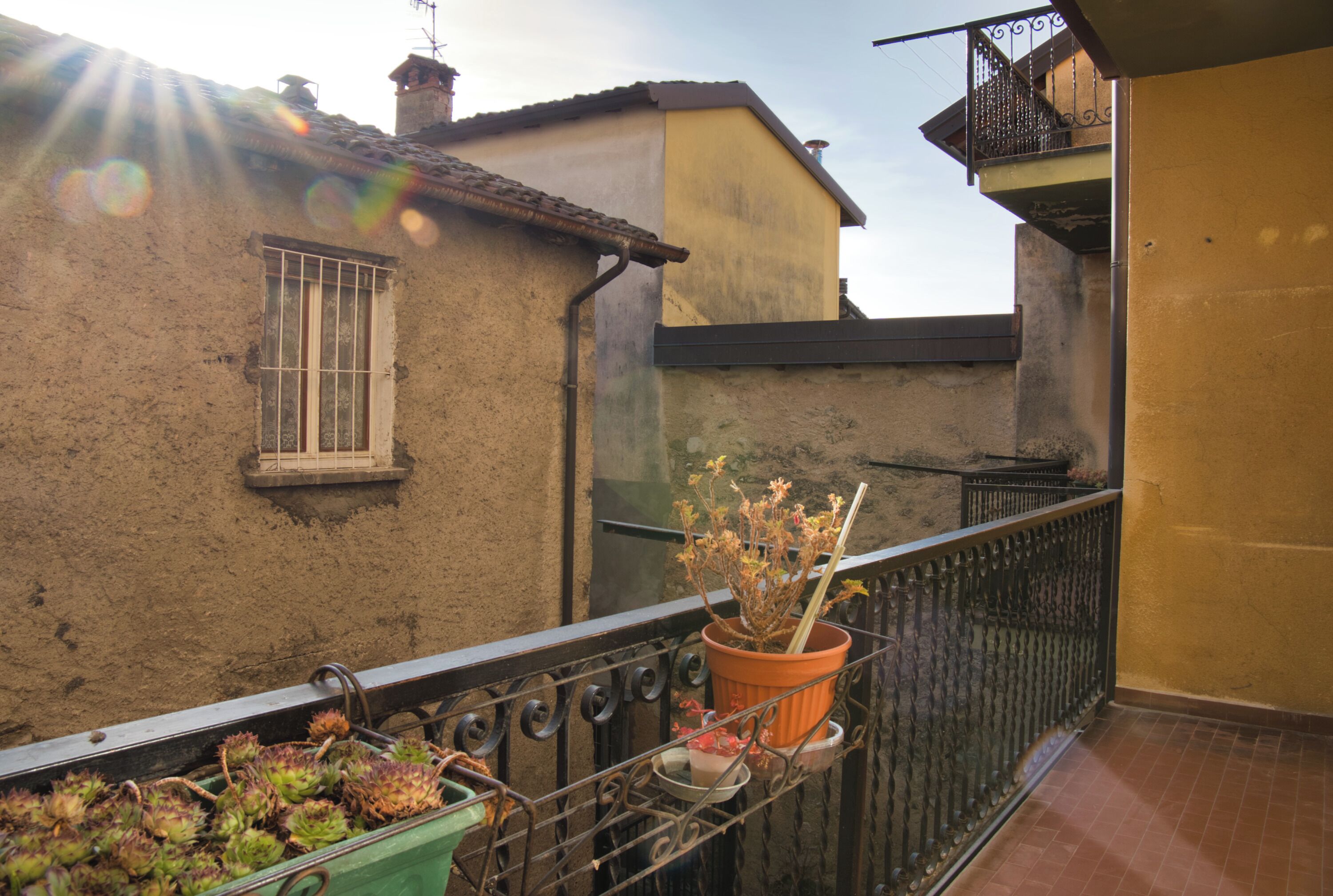 A balcony with a potted plant, a window, and a railing.