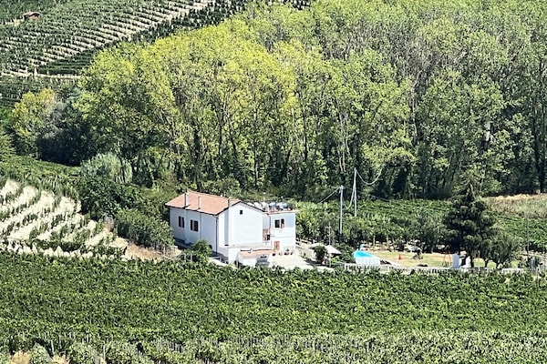 The house and garden set in the vineyards